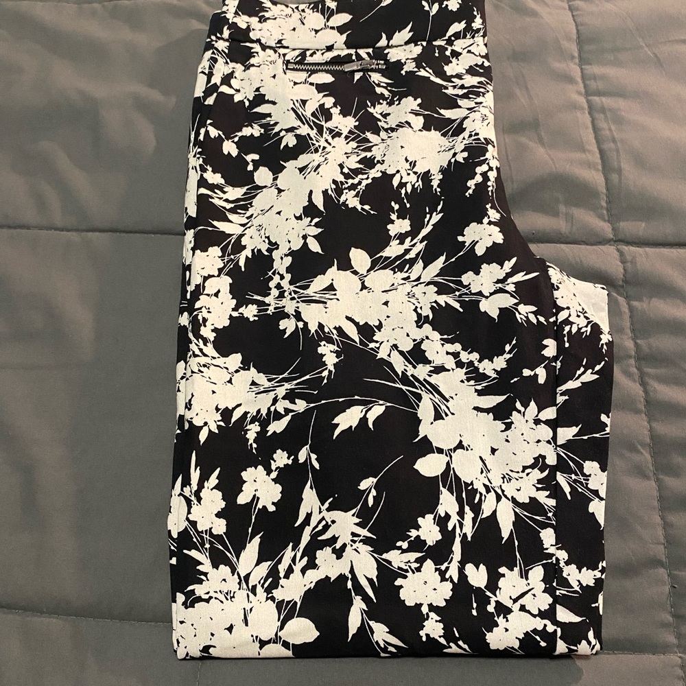 Nue Options - image 2